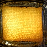 honeycomb is a clamshell container