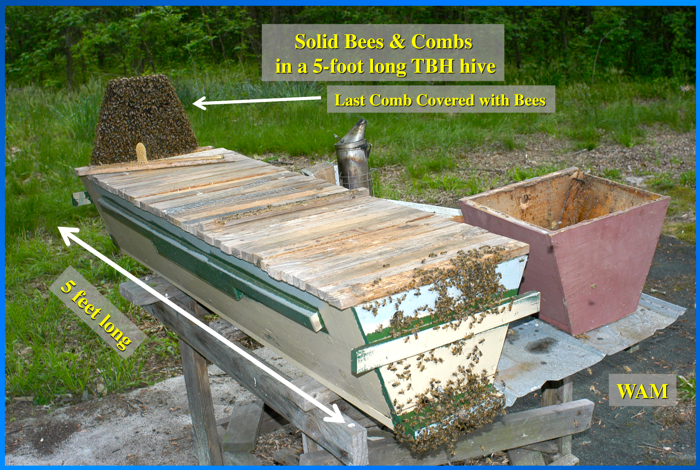 Top-Bar Apiaries - 200 Top Bar Hives: The Low-Cost ...