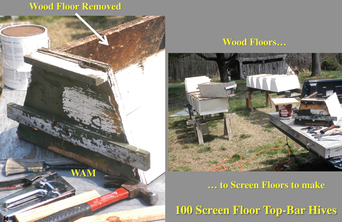 removing wood floors from top bar hives