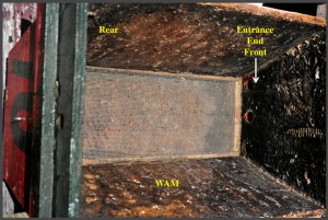 a screen floor top bar hive
