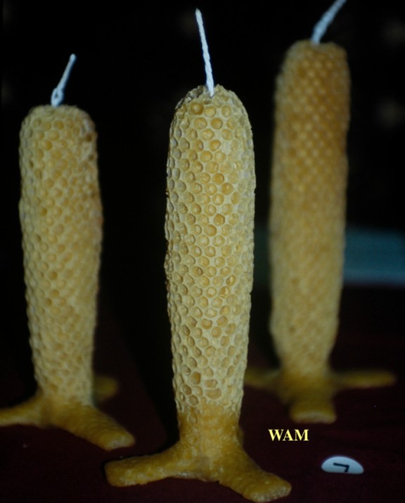 bee cells on foundartion candles