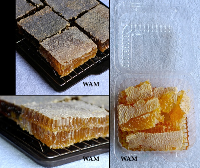 draining cut comb honey